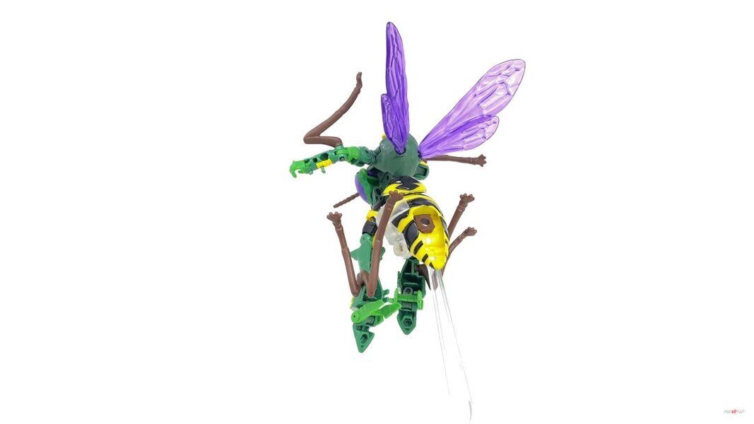 Transformers Kingdom Deluxe Class Waspinator  (11 of 28)